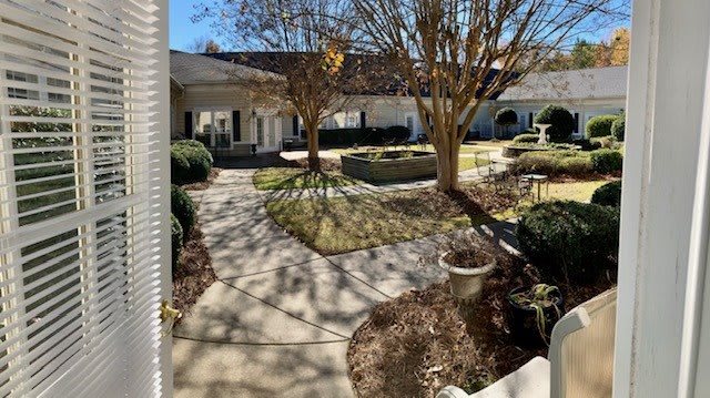 A sunny courtyard with a winding pathway, surrounded by trees and shrubs near a building.