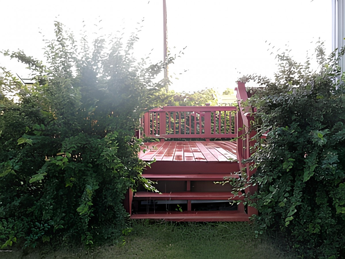 An old red bed frame surrounded by lush, overgrown plants in a garden setting.