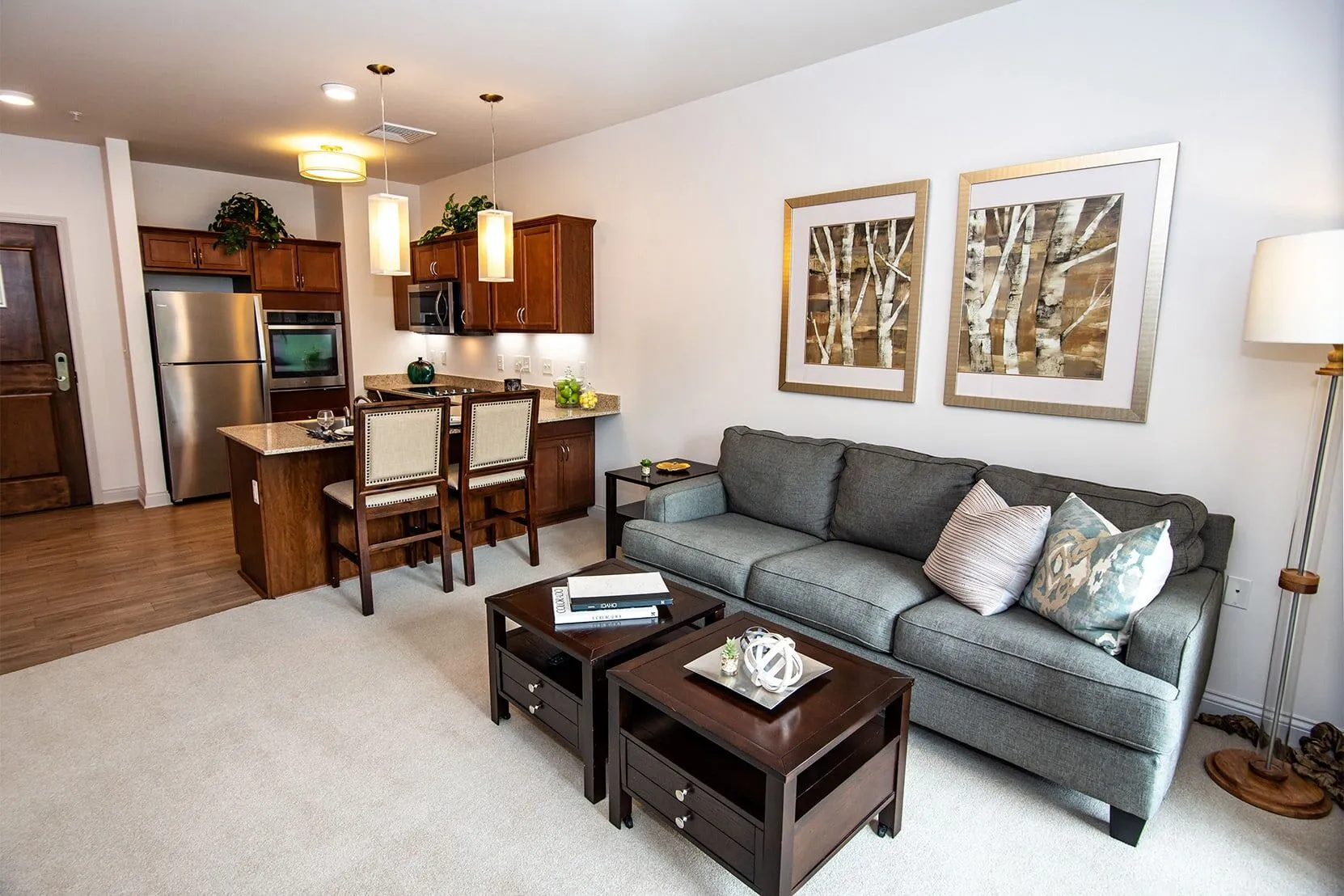 A modern open-plan living room and kitchen with elegant decor and comfortable furniture.