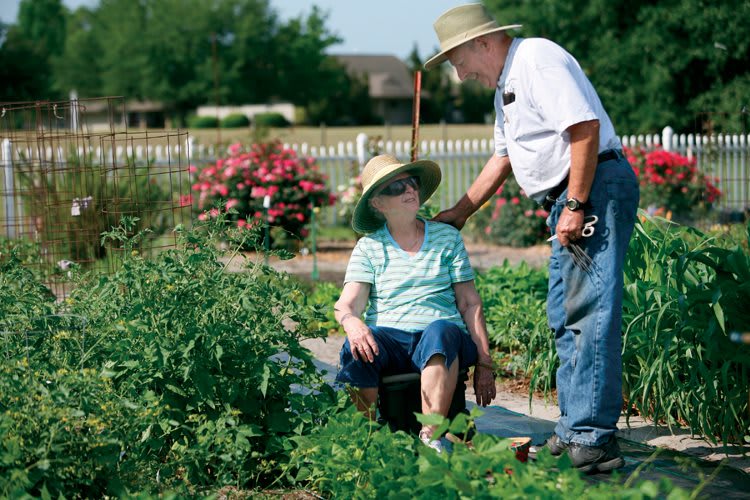 An elderly couple enjoying a day of gardening together.
