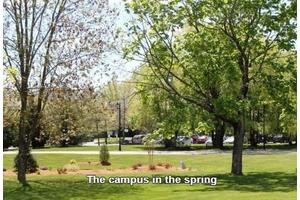 A scenic view of the campus in the spring.