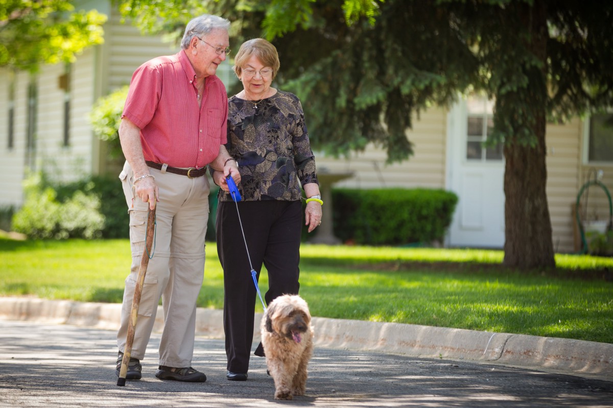 An elderly couple enjoys a walk with their dog in the park.