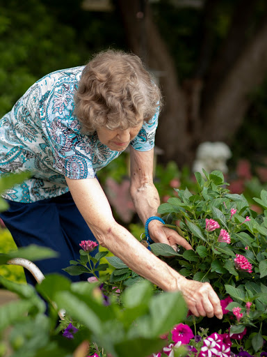 An elderly woman tending to her garden, nurturing vibrant flowers in a serene outdoor setting.