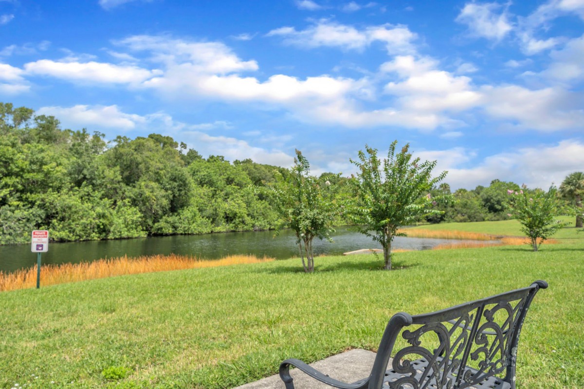 A peaceful park scene featuring a bench overlooking a tranquil lake surrounded by lush greenery.