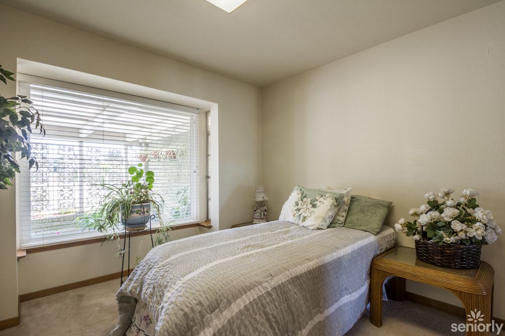 A cozy, minimalist bedroom with ample natural light and a window seat adorned with plants.