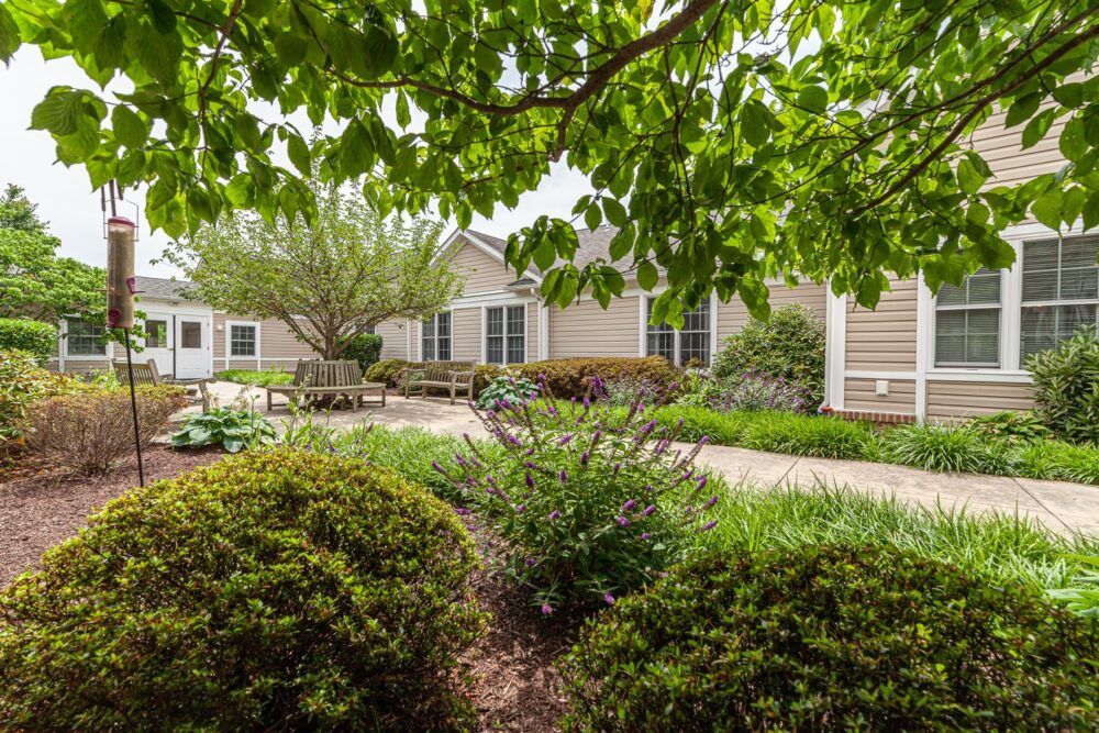 A well-maintained garden in front of a suburban house, featuring lush greenery and neatly trimmed bushes.