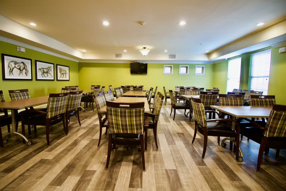A spacious dining area with neatly arranged tables and chairs, featuring a bright green wall and wooden flooring.