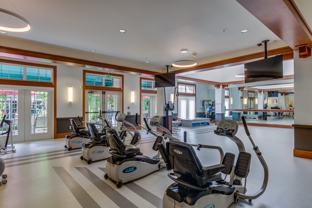 A modern gym with various exercise machines, including treadmills and stationary bikes.