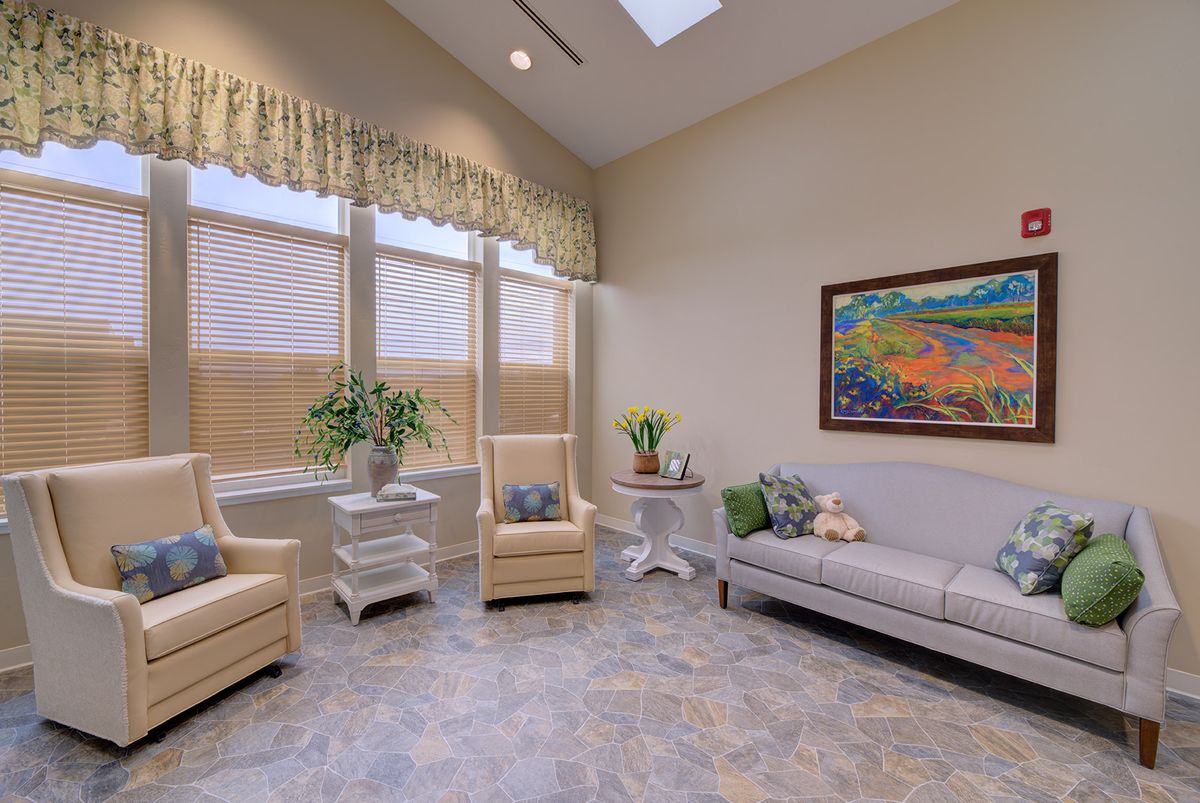 A cozy living room with armchairs, a sofa, and decorative plants under natural light.