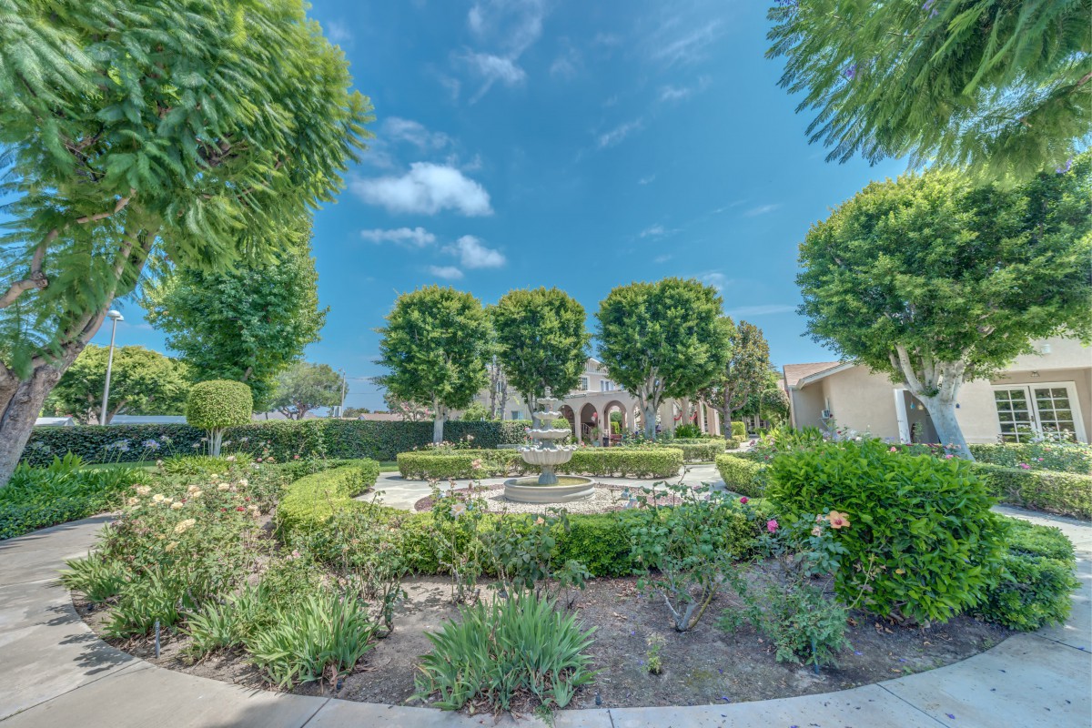 A serene garden with a central fountain surrounded by lush trees and vibrant greenery under a clear blue sky.