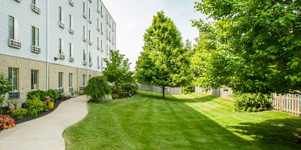 A peaceful garden scene with lush grass and trees alongside a building.