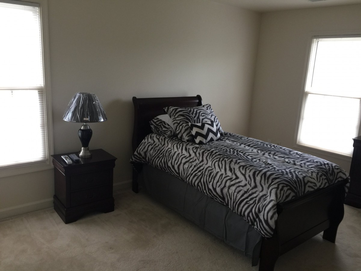A minimalist bedroom featuring a single bed with zebra print bedding and a nightstand with a lamp.