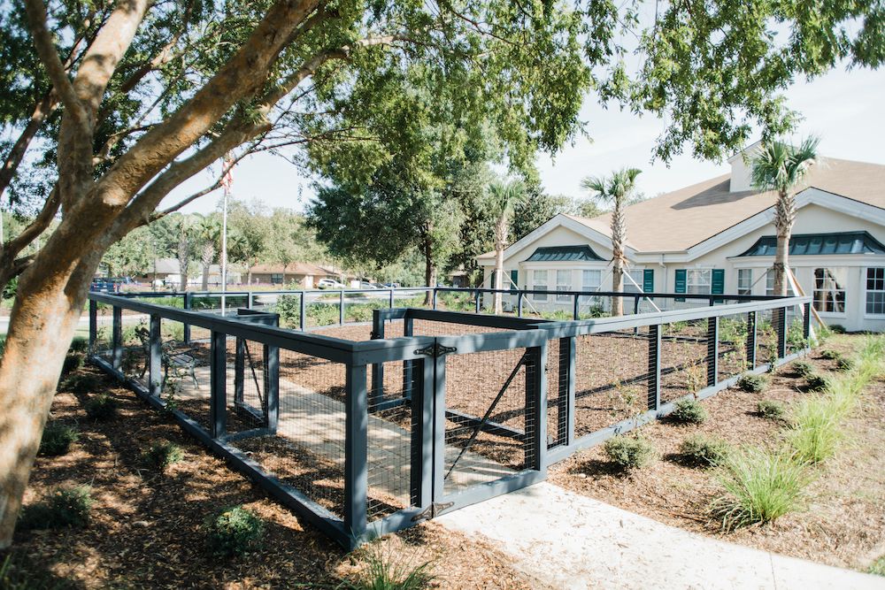 An outdoor dog park with fencing and trees, featuring a pathway through the landscaped area.