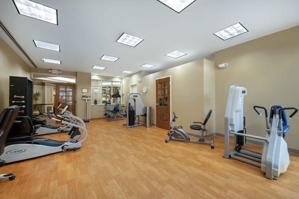A modern gym equipped with a variety of exercise machines.