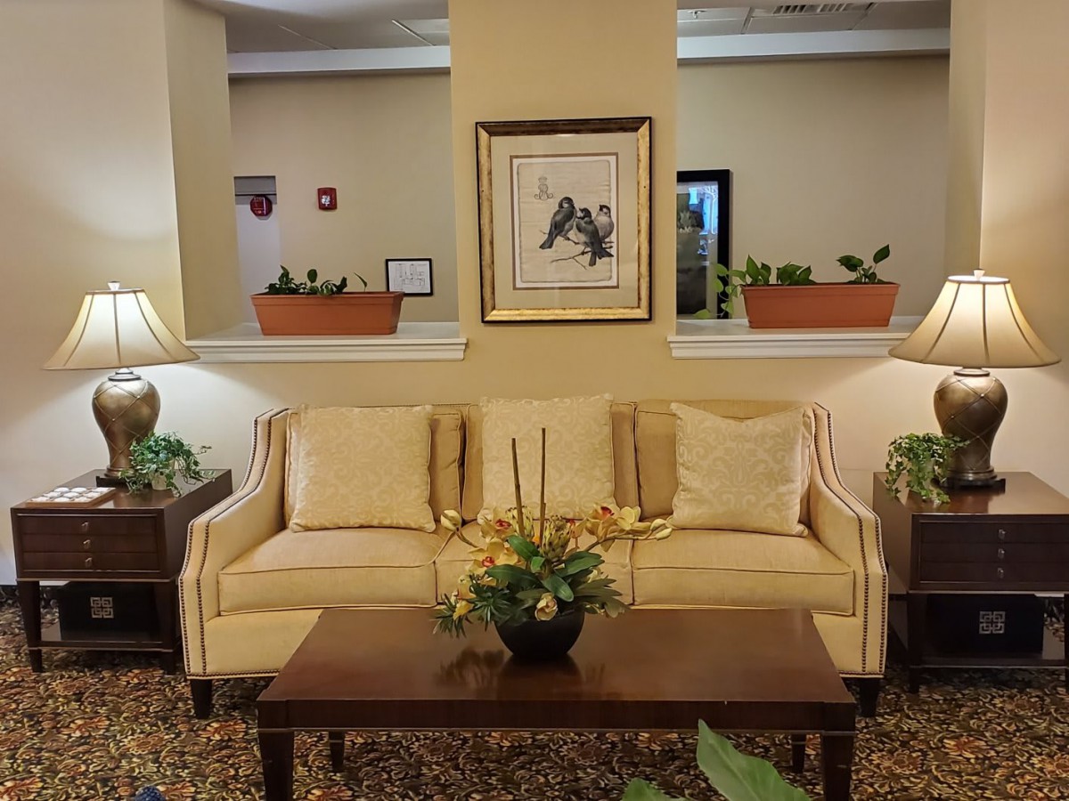 A cozy living room with a beige sofa, indoor plants, and elegant decor.