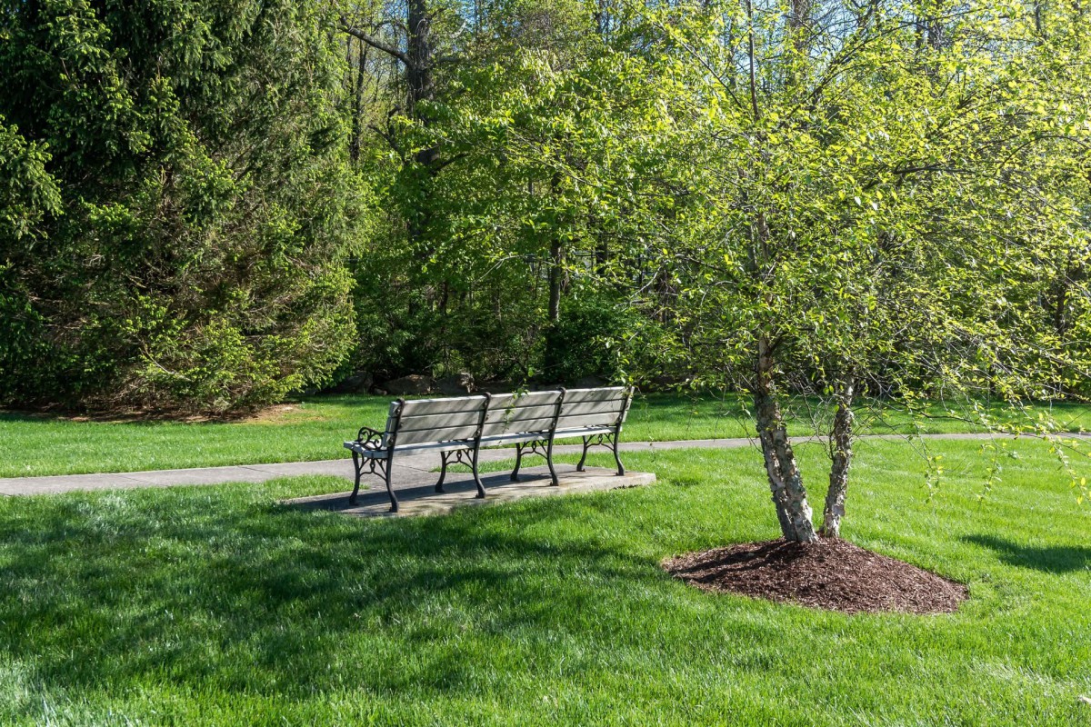 A peaceful park scene with benches and lush greenery.
