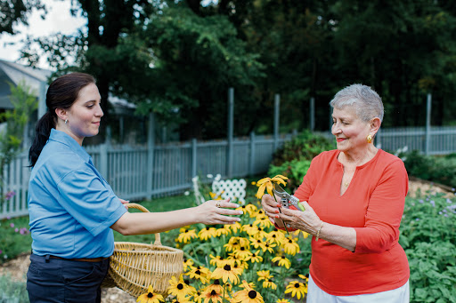 Two women exchanging plants in a vibrant garden filled with sunflowers.