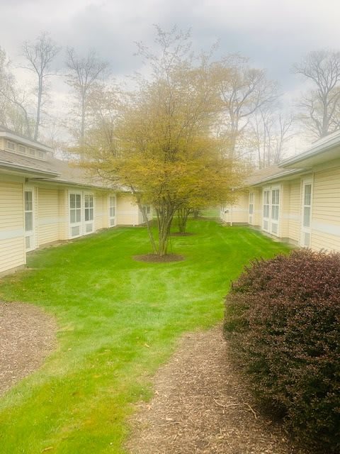 A serene courtyard with a central tree, surrounded by buildings and neatly maintained landscaping.