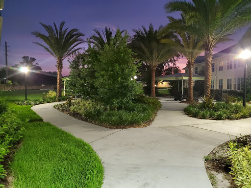A tranquil pathway surrounded by lush greenery and palm trees, illuminated by the soft glow of twilight.