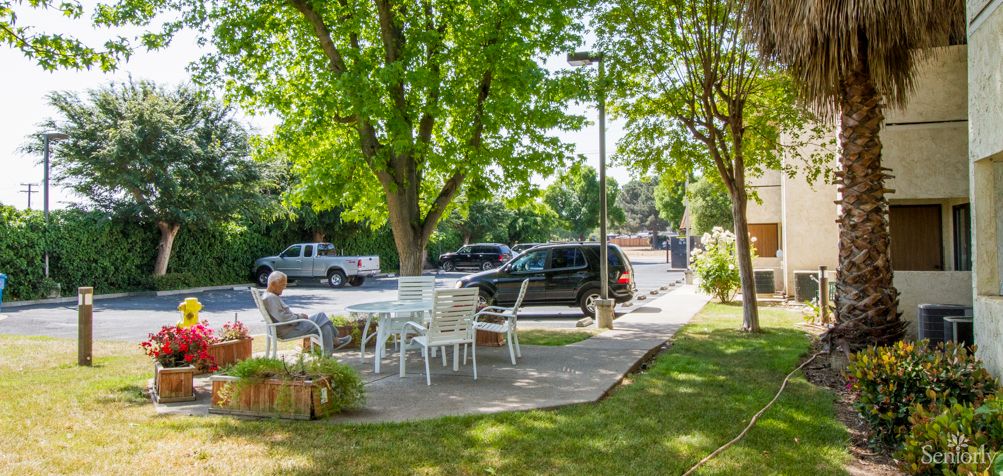 A peaceful outdoor patio with tables and chairs under the shade of trees, adjacent to a street with parked cars.