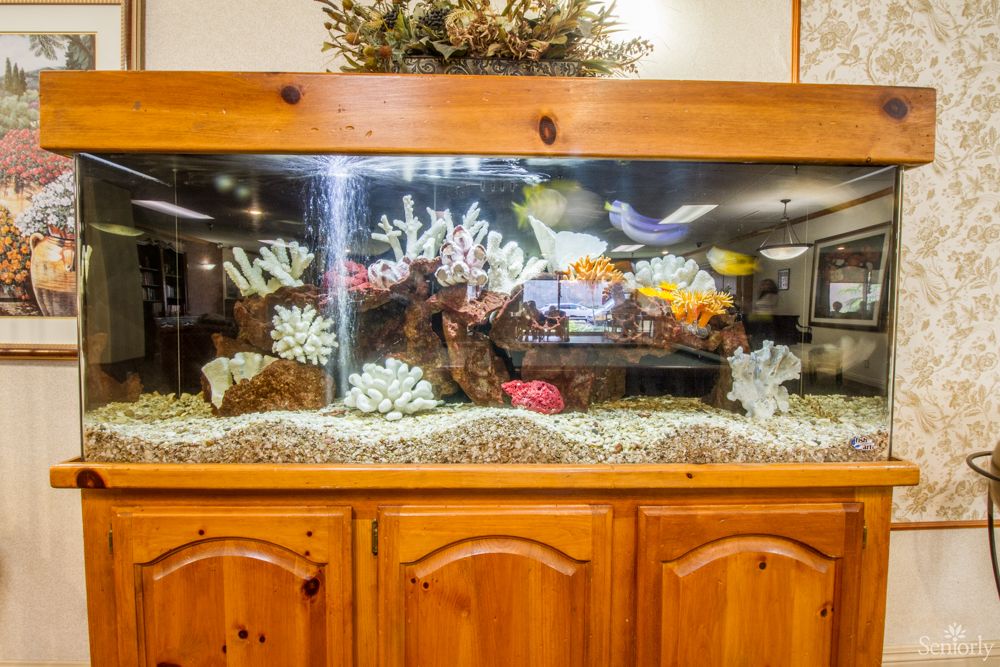 A large aquarium filled with colorful tropical fish and coral, set on a wooden stand.