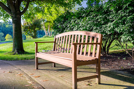 A charming wooden bench nestled in a serene park setting, surrounded by lush greenery.