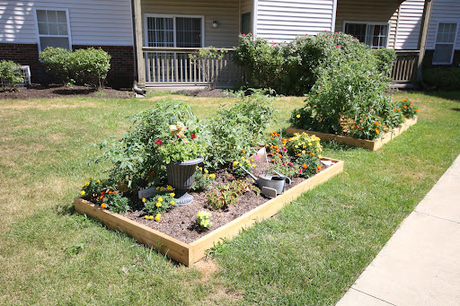 A vibrant garden featuring a variety of vegetables and flowers, showcasing the beauty of outdoor cultivation.