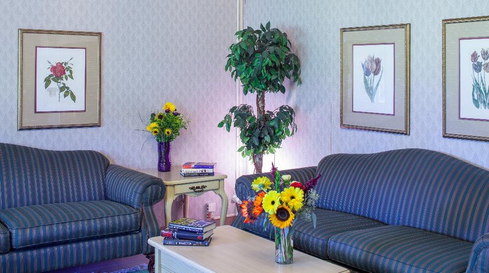 A cozy living room with striped sofas, a coffee table adorned with fresh flowers, and a houseplant adding greenery to the decor.