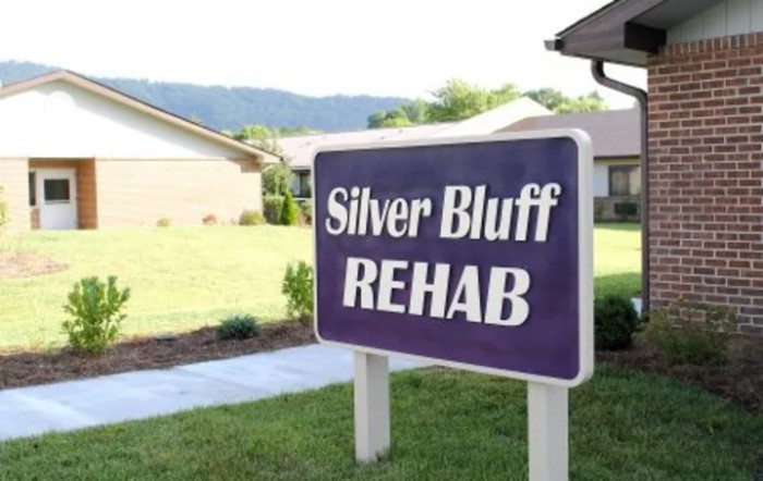 Silver Bluff Village
