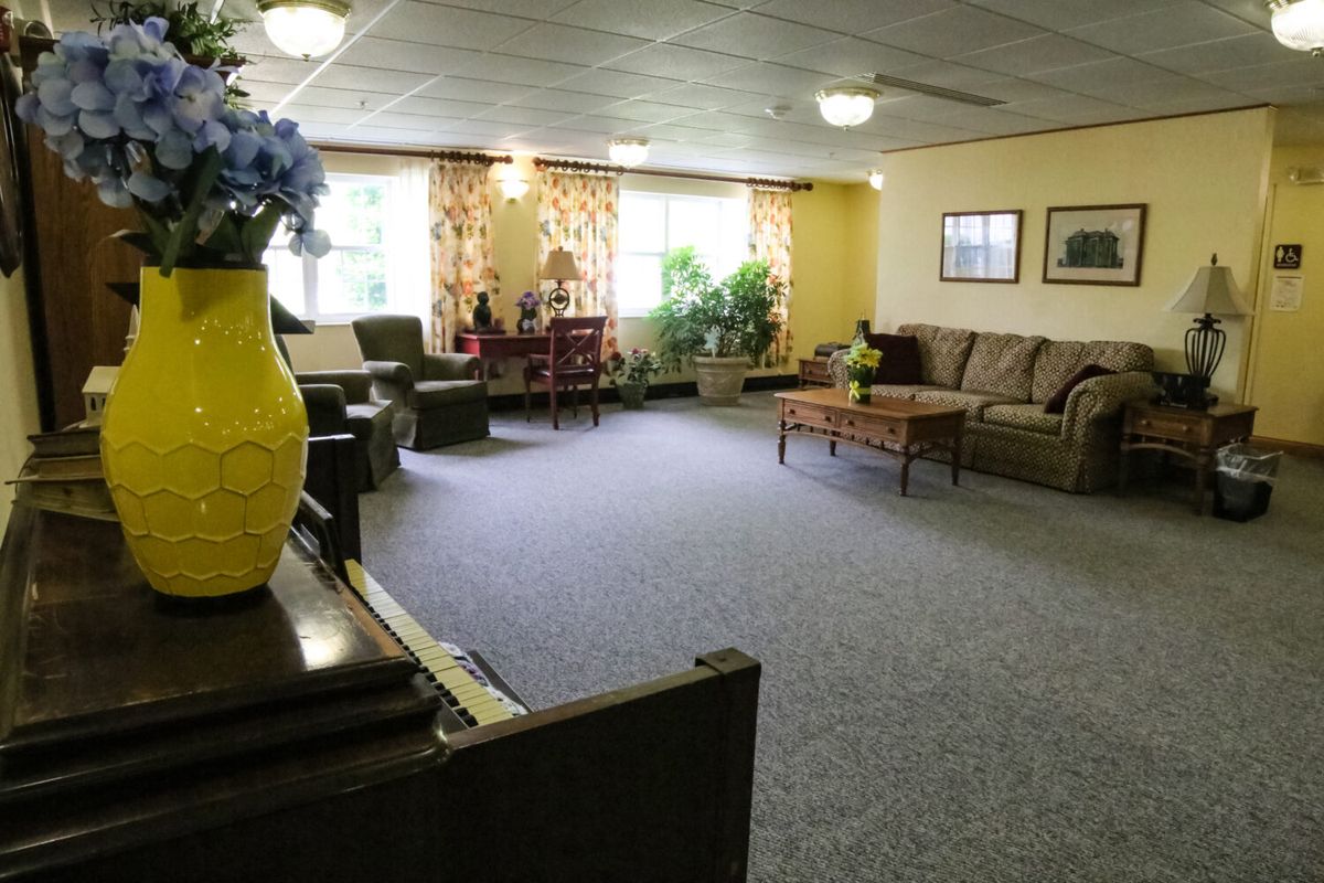 A spacious living room with sofas, a coffee table, and indoor plants.