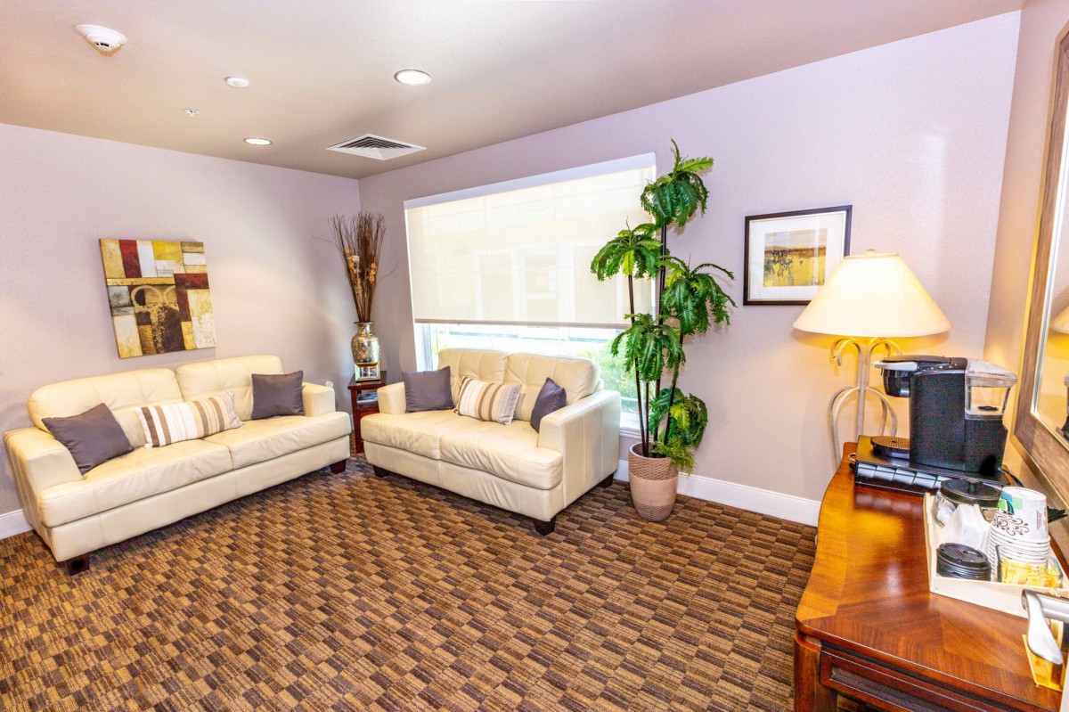 A cozy living room with stylish decor, featuring sofas, a potted plant, and warm lighting.