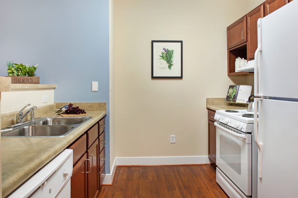 A modern kitchen interior with wooden cabinets, a stove, sink, and minimalist decor.