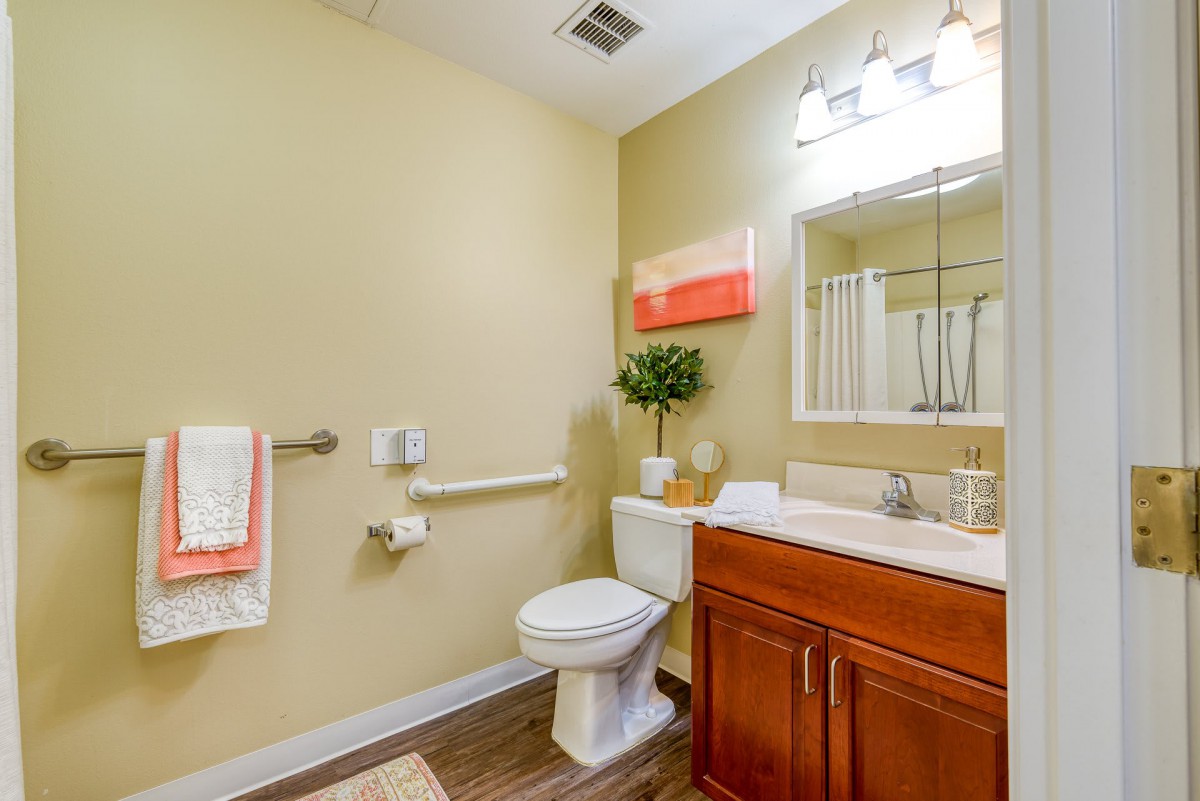 A well-lit bathroom with a toilet, sink, mirror, and decorative elements.