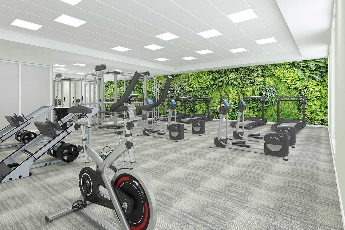 A modern gym with stationary bikes and weights, featuring a green accent wall.