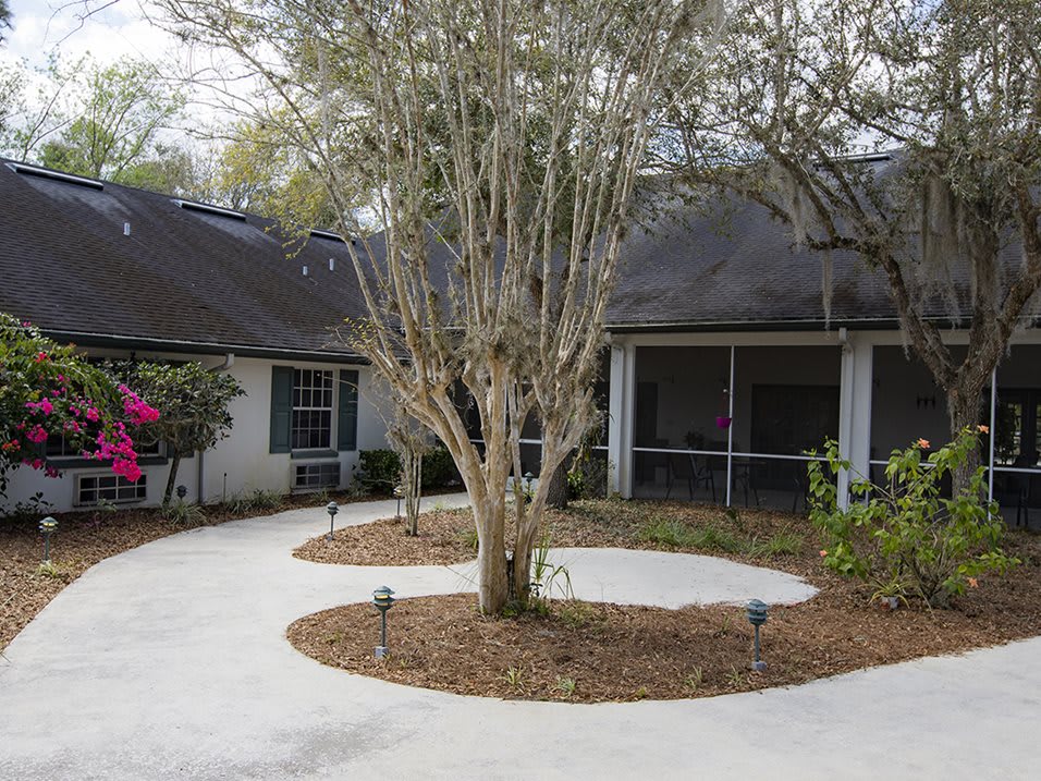 A cozy house entrance with a circular pathway around a tree in the courtyard.