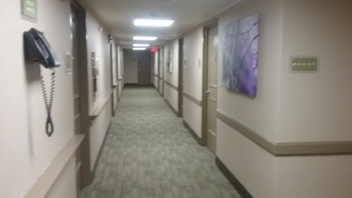 A well-lit hallway with doors on either side and artwork on the walls.