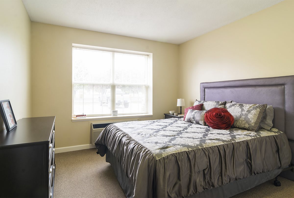 A cozy bedroom featuring a large bed with decorative pillows, a window providing natural light, a dresser, and a bedside lamp.