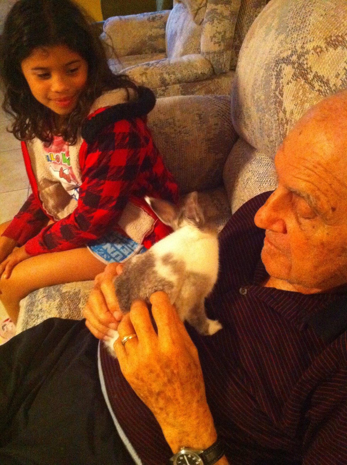 An elderly man and a child sitting on a couch, interacting with a rabbit.
