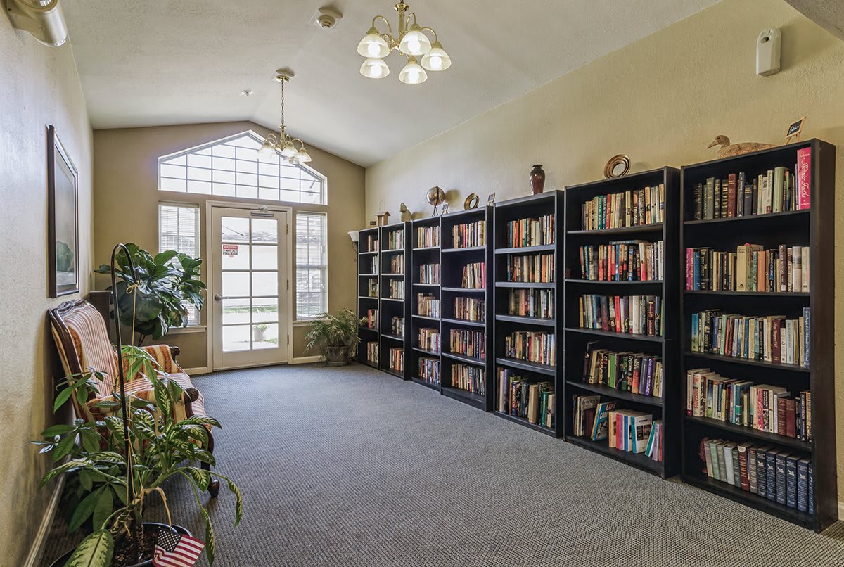 A quiet library room with bookshelves lining the wall, a large window allowing natural light, and plants adding greenery to the space.