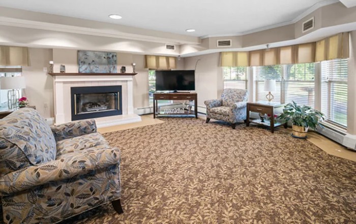 Cozy living room with fireplace and television, featuring comfortable seating and large windows.