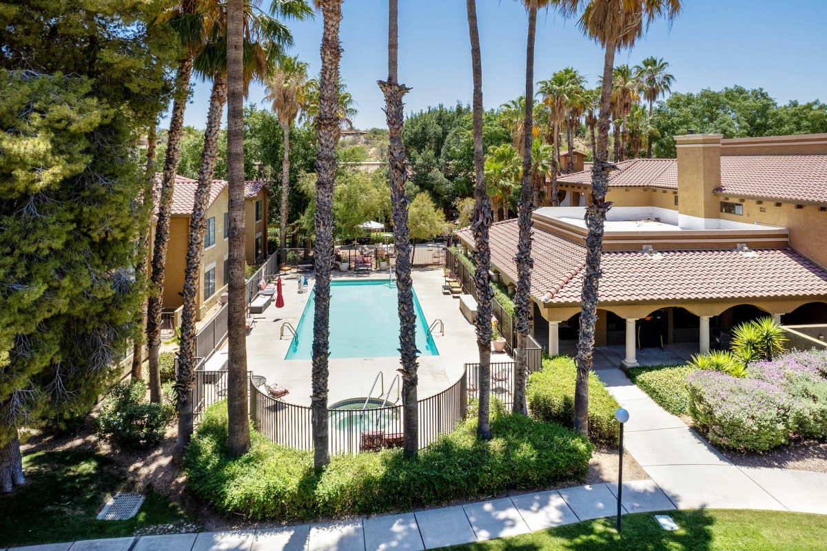 A serene outdoor pool surrounded by palm trees and buildings in a residential area.