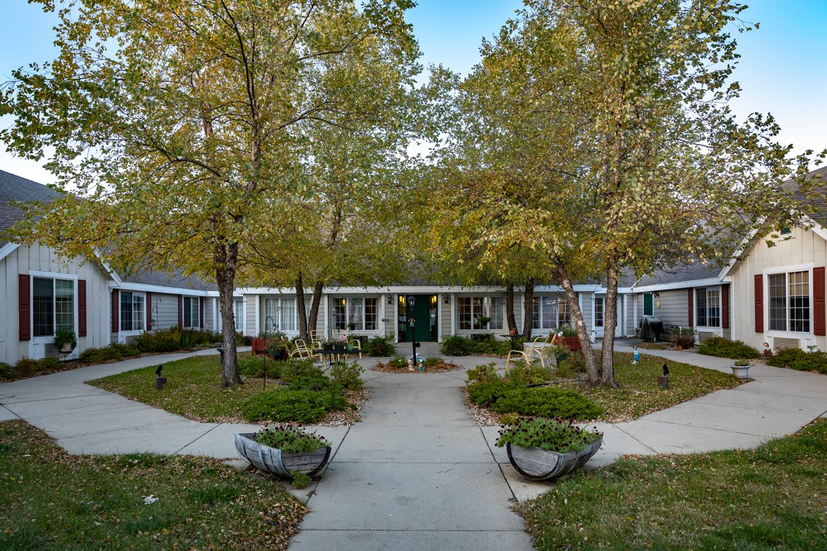 A serene courtyard surrounded by trees and a building with pathways and shrubs.
