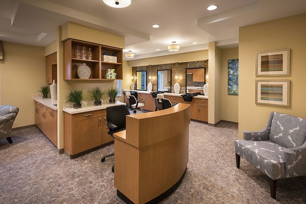 A modern office reception area featuring a curved desk, comfortable seating, and decorative plants.