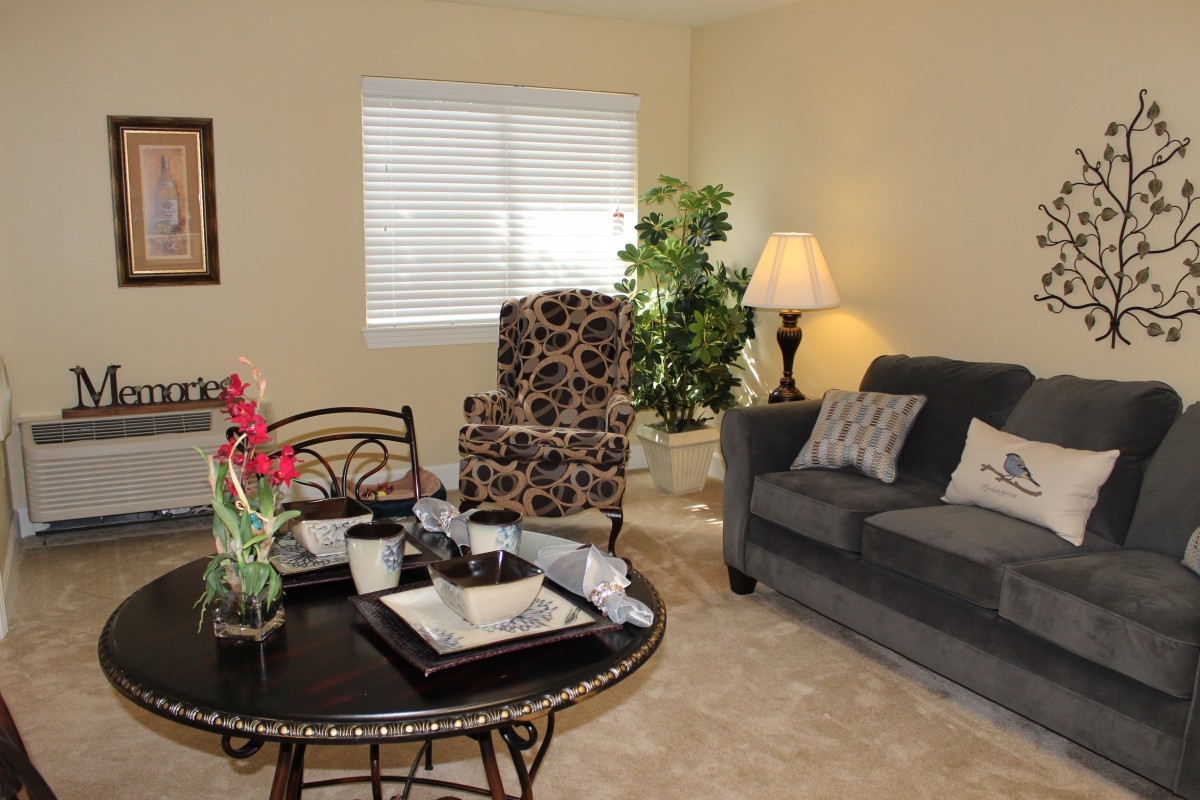 A cozy living room with a comfortable sofa, patterned armchair, and a coffee table set for dining.
