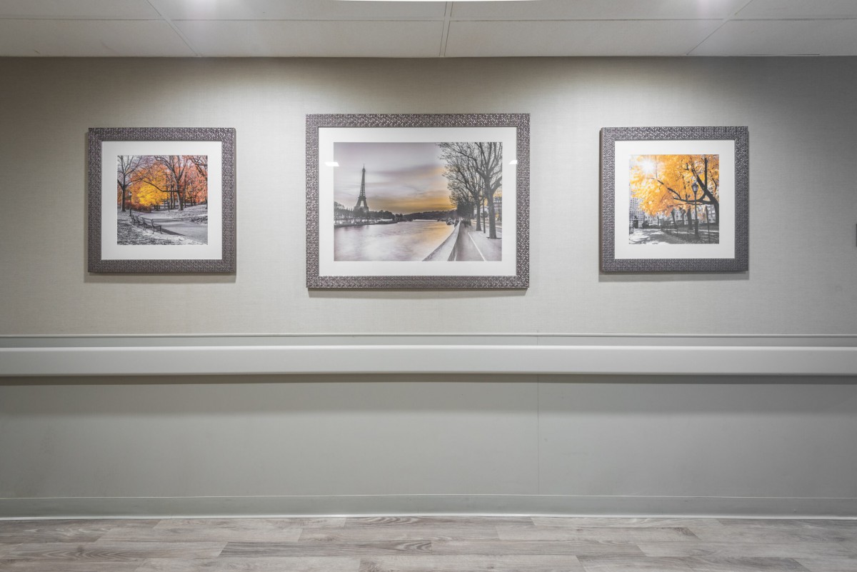 Three framed paintings displayed in a row on a gallery wall.