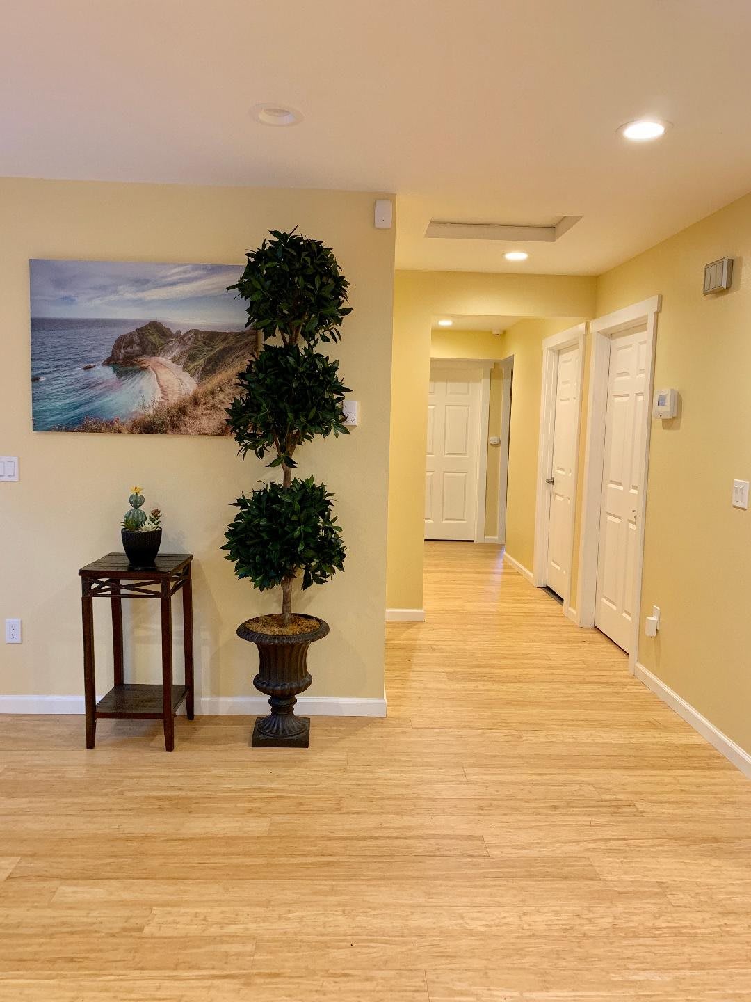 A neatly decorated hallway with wooden flooring, featuring a tall plant and a scenic painting on the wall.