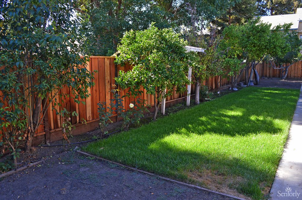 A well-maintained backyard featuring a lush green lawn and a wooden fence lined with trees.