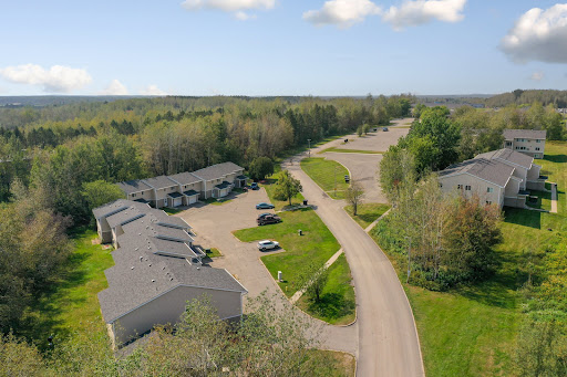 Aerial view of a quiet residential area with townhouses and a winding road surrounded by trees.