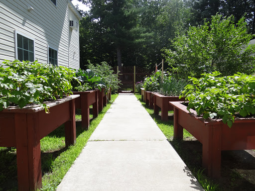 A serene garden pathway lined with raised vegetable beds, leading through lush greenery.
