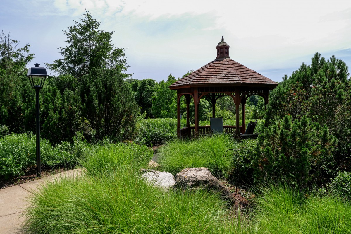 A serene garden scene featuring a wooden gazebo surrounded by lush greenery and trees.